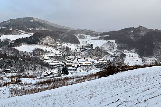 冬季吉林雪村-松岭美景如画