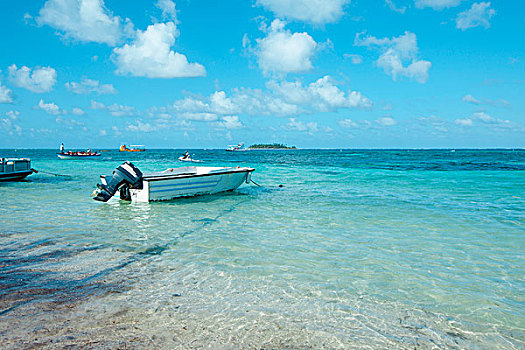 海滩,圣安德烈斯岛,岛屿,哥伦比亚