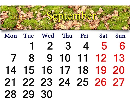 日程,九月,苔藓,叶子