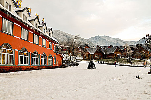 成都西岭雪山美丽雪景