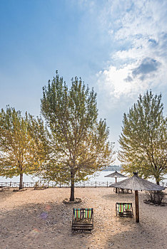 秋季中国沈阳公园户外树林河滩游乐场休息区