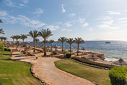 海滩,豪华酒店,埃及