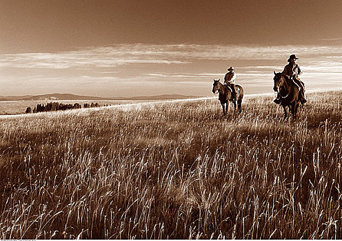 骑马,道格拉斯湖牧场,不列颠哥伦比亚省,加拿大