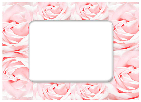 玫瑰,框,盛开,花,旧式,背景,淡色调,软,卡