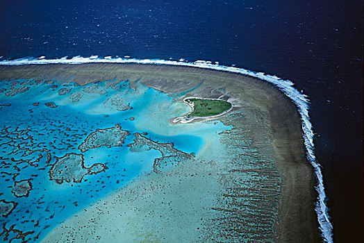 一棵树,岛屿,礁石,多,大堡礁,海洋公园,昆士兰,澳大利亚