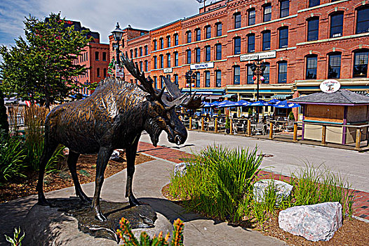 雕塑,驼鹿,市区,1号公路,沿岸,芬地湾,新布兰斯维克,加拿大