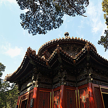 皇家,花园,故宫,北京,中国