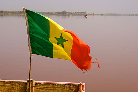 旗帜,塞内加尔,玫瑰,达喀尔,区域,非洲