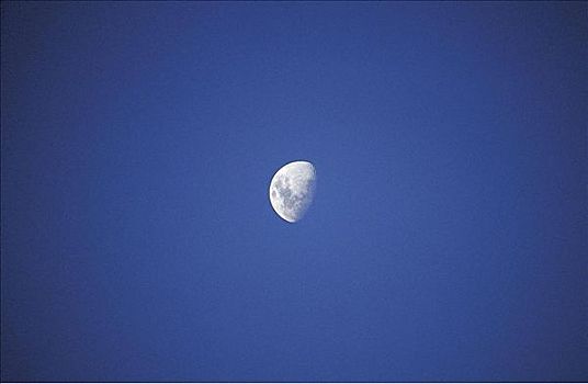 新,月亮,半月,蓝色,夜空,星球,澳大利亚
