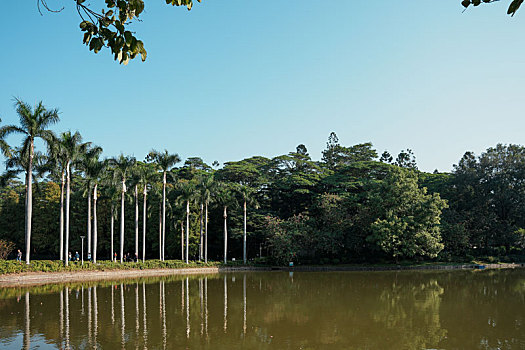 羊城广州天河公园初冬美景