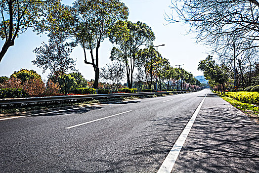 道路,阿尔卑斯山