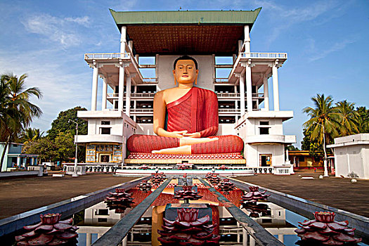 巨大,佛,雕塑,庙宇,斯里兰卡,亚洲