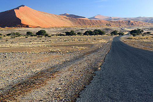 道路,索苏维来地区,盐磐,纳米布沙漠,纳米比沙漠,公园,纳米比亚,非洲