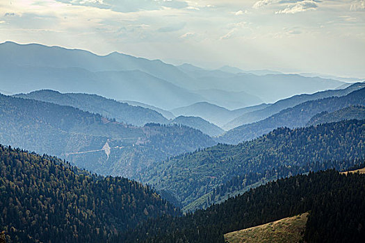 风景,山,雾气