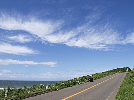 道路,海岸