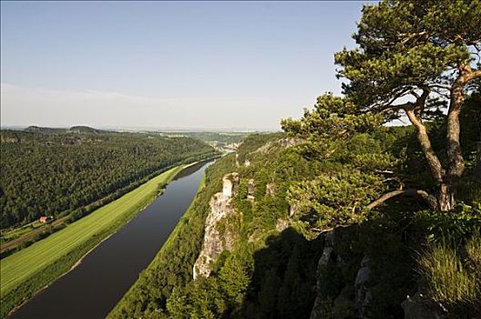 风景,易北河,砂岩,山峦,萨克森,德国