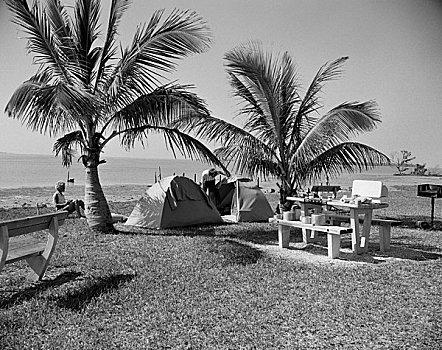 露营者,放松,海滩,棕榈树