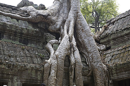 柬埔寨吴哥窟石雕