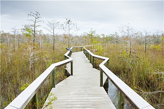 大沼泽地国家公园,佛罗里达,美国