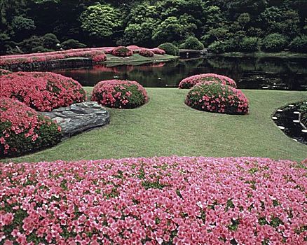 皇宫,花园,东京,日本