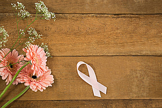 俯视,粉色,乳腺癌,意识,带,大丁草,花,木桌子