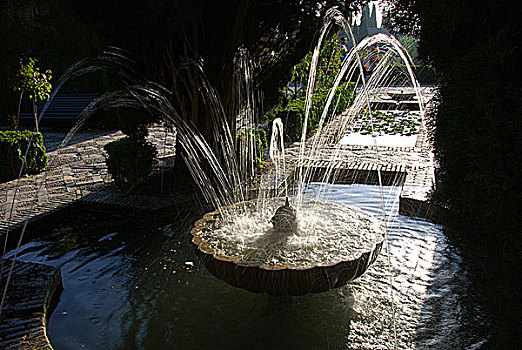 喷水池,花园,阿尔罕布拉,格拉纳达,安达卢西亚,西班牙