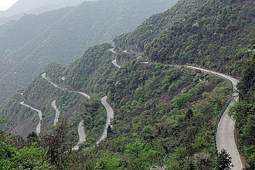 水墨汀溪,溪流,山水,流水,绿树