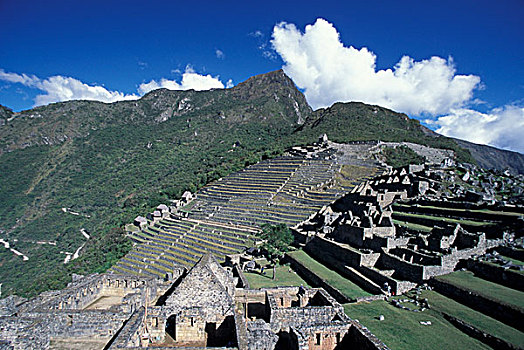 南美,秘鲁,马丘比丘,俯视,流行,印加,遗址