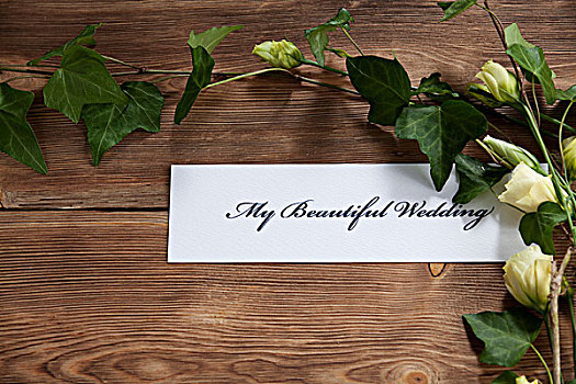 漂亮,婚礼,书写,白色背景,纸,靠近,玫瑰,叶子