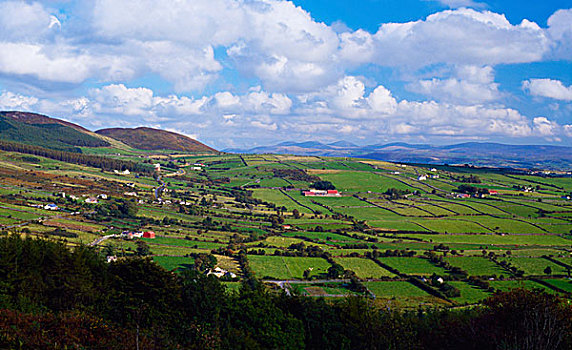 爱尔兰,农业,风景,靠近
