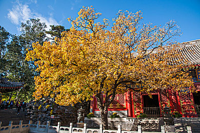 双清寺图片