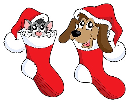 可爱,猫,狗,圣诞节,袜子