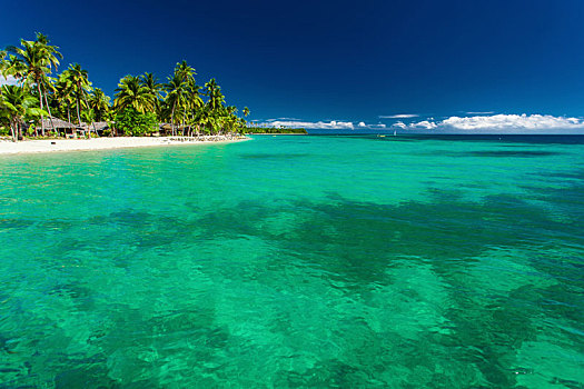 热带海岛,斐济,海滩,水,珊瑚