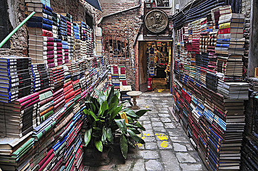老,书店,威尼斯,意大利