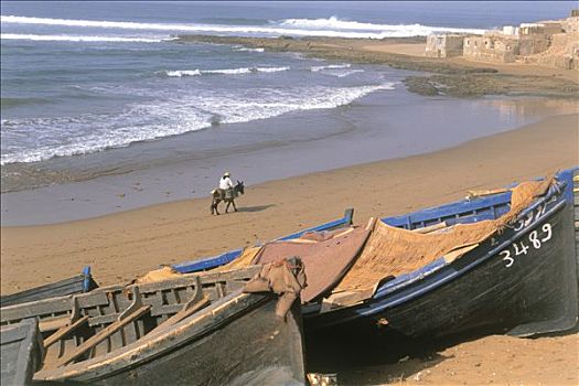 摩洛哥,小船,海滩,男人,骑,驴,建筑,背影