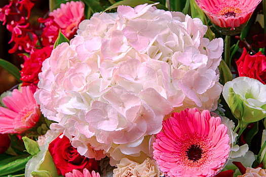 漂亮的花束,盛开的花朵充满着爱的祝福