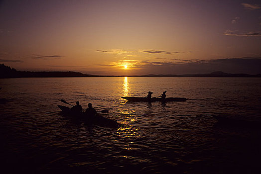 加拿大,温哥华岛,皮划艇,日落