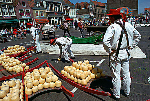 奶酪,市场,荷兰