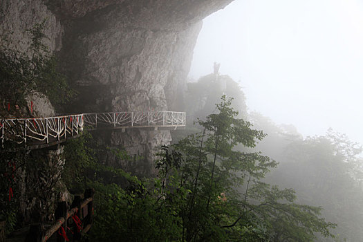 重庆南川,雨中金佛山云端栈道,与云雾起舞如仙如境