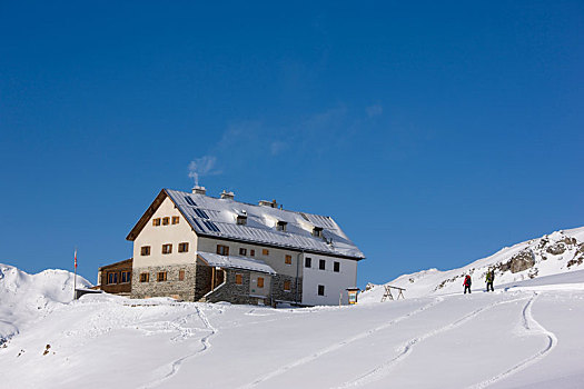 雪鞋,远足,阿尔卑斯山,提洛尔,奥地利