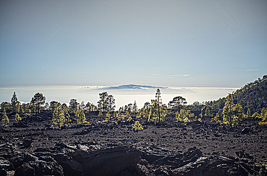 风景,泰德山,特内里费岛,加纳利群岛,西班牙