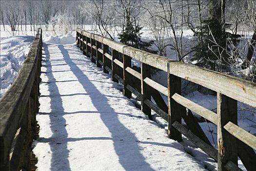 走,桥,雪