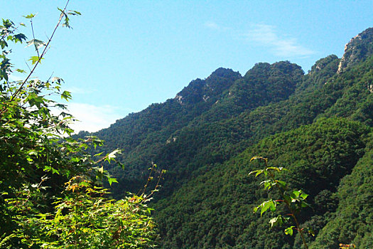 五岳寨山景