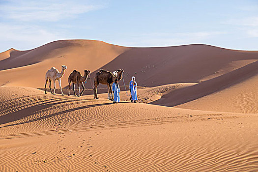 摩洛哥,撒哈拉,沙丘,40岁,宽,使用,只有