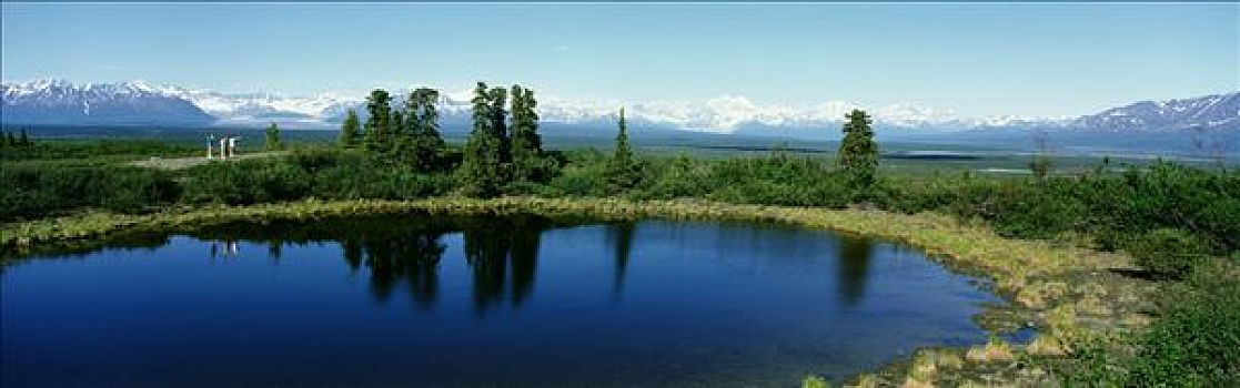 游客,注视,景色,德纳里峰,室内,夏天