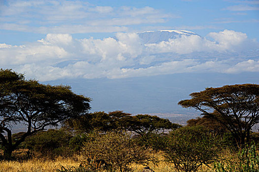 非洲肯尼亚雪山