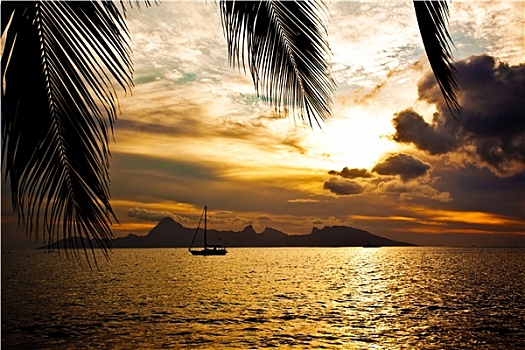 日落,上方,茉莉亚岛,岛屿