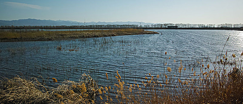 野鸭湖