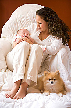 年轻,女人,肖像,拿着,3个月大,婴儿,博美狗,狗,坐,毯子