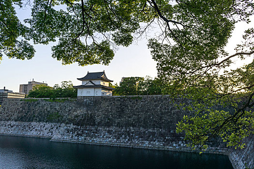 大阪城,看,塔